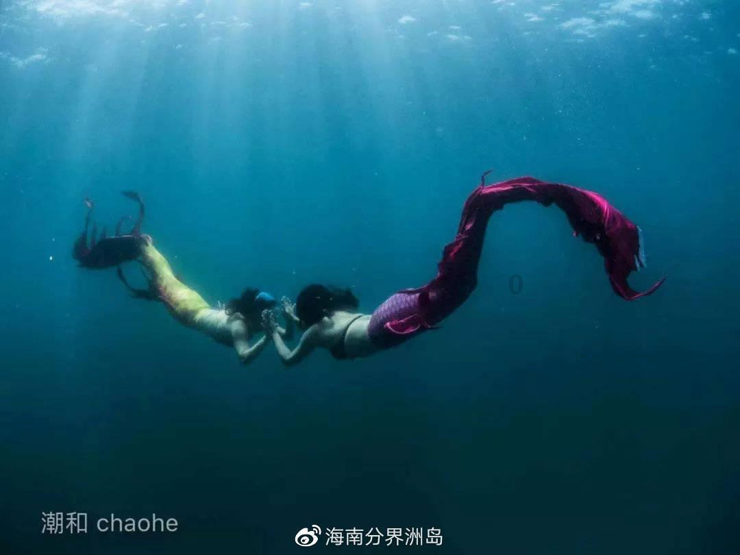 动物帮帮忙保卫家园